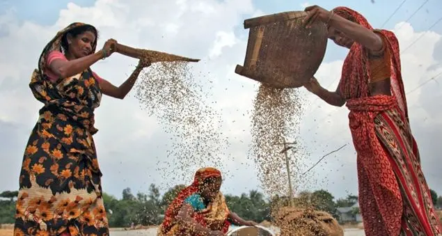 Donne e cibo, 104 scrittrici raccontano un legame profondo