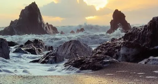 Laudato sì, le preghiere del Papa per il Creato