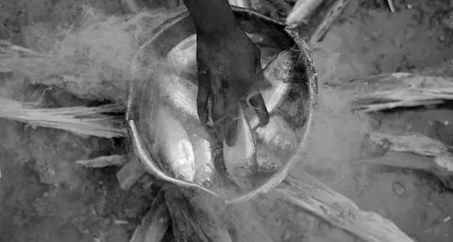 Alla Biennale l'arte parte dal Principio