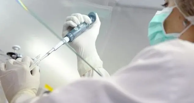 L'embrione non è una cosa