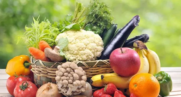 Come nutrire il nostro cervello