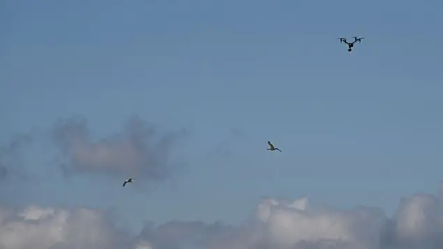 Le immagini della prima domenica a San Pietro senza il Papa