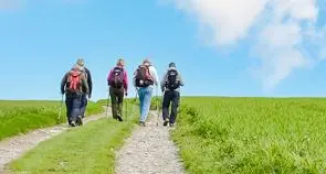 Meglio essere poveri, che essere maledetti