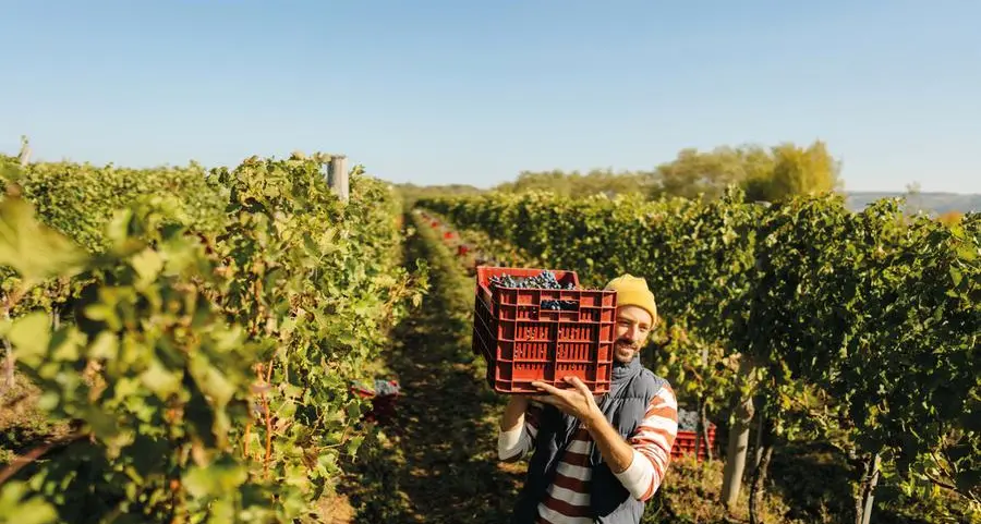 Vinitaly, il futuro della bottiglia deve andare oltre gli Stati Uniti