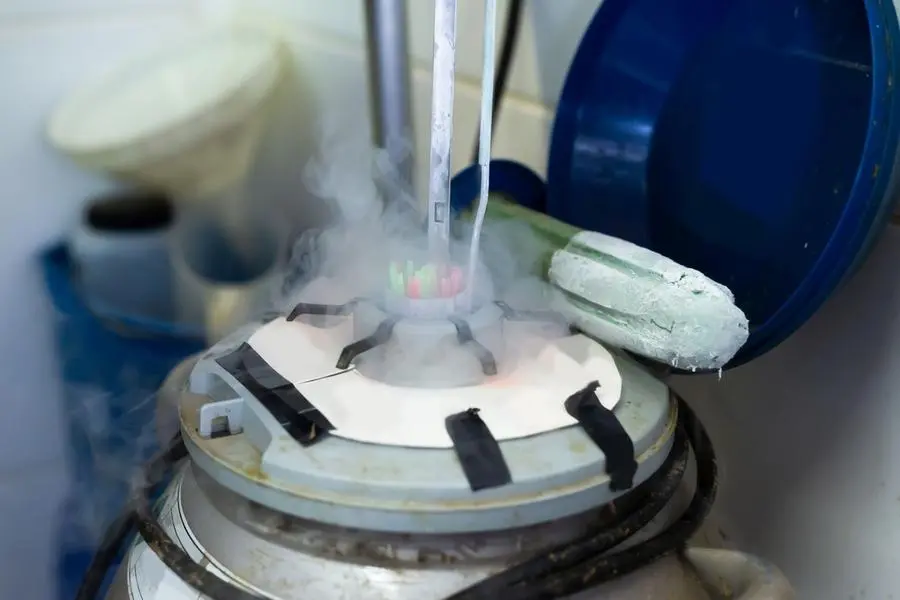 Un laboratorio per la fecondazione assistita , Getty Images