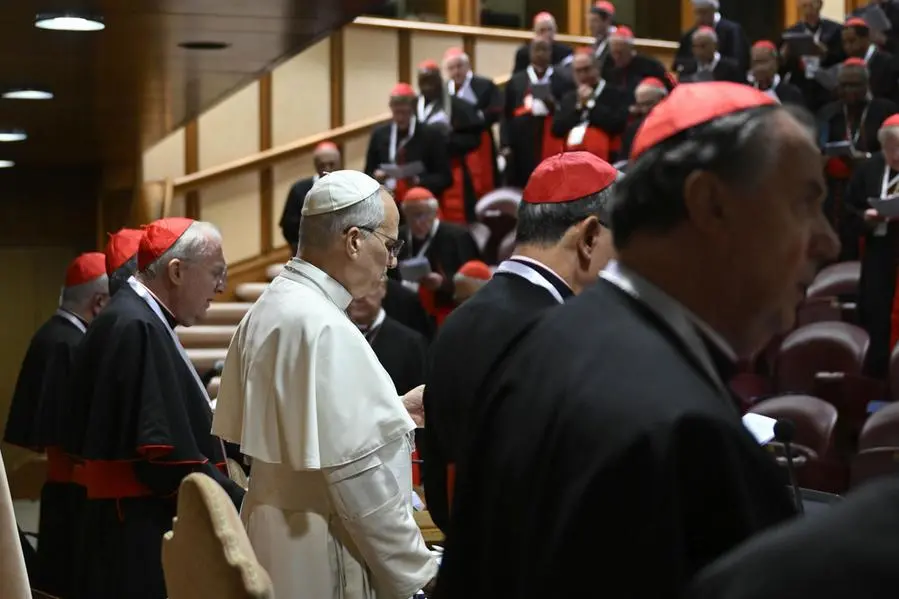 Il Papa con i cardinali durante il Concistoro straordinario del gennaio scorso , ANSA