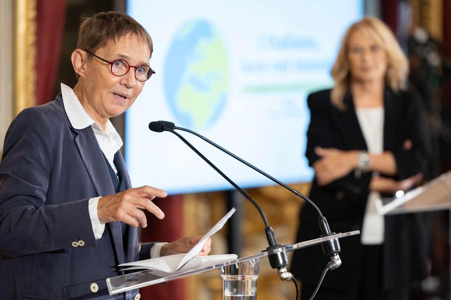 The ecological fable about the Pope’s fir tree