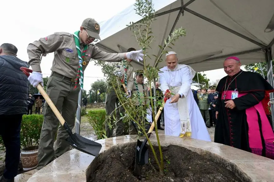 Leone XIV pianta l\\'ulivo della pace nel sito archeologico di Annaba in Algeria, l\\'antica Ippona.