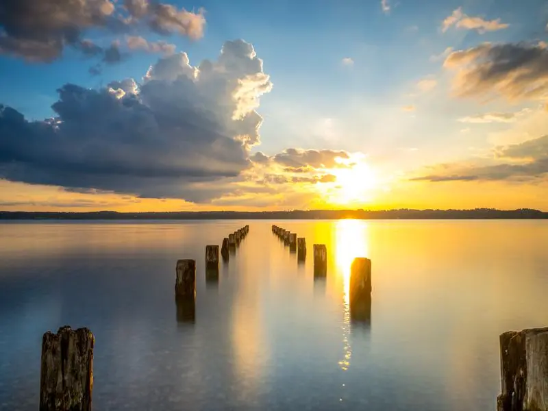 Domenica 7 Dicembre 2025 -IV di Avvento L’ingresso del Messia