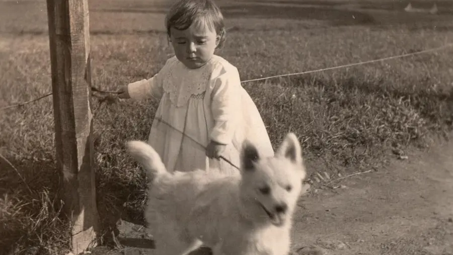 Elena Colombo, deportata a 10 anni da sola ad Auschwitz: la storia (unica) nella Shoah italiana