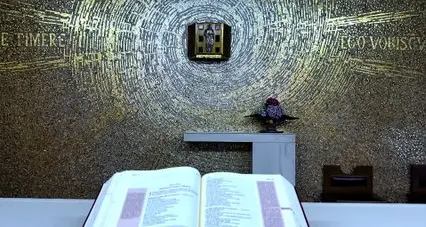 XXIII DOM. Tempo Ordinario - Commento al Vangelo - 16 Agosto 2026 - Don Stefano Stimamiglio