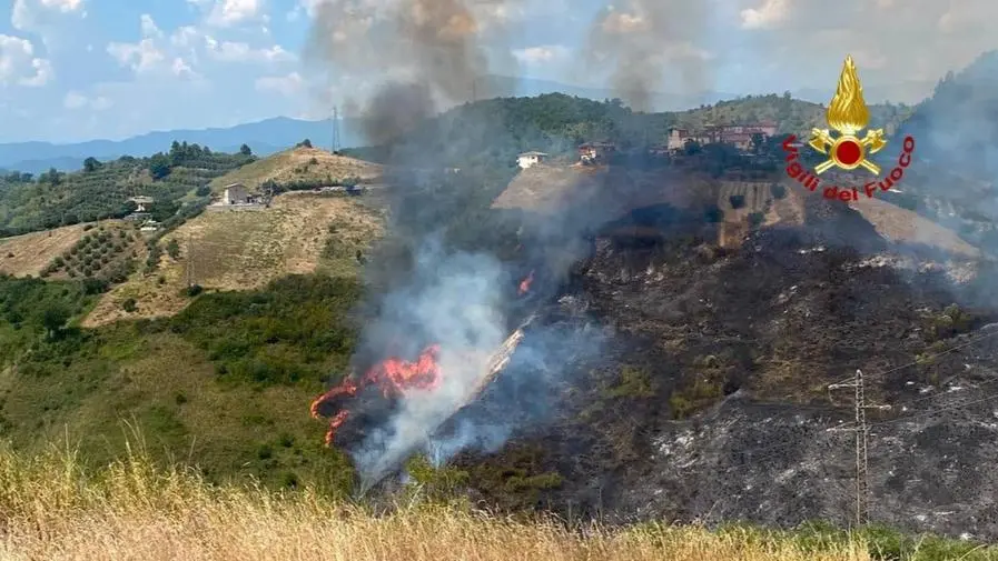 Nell’estate record per gli incendi la ricetta del WWF per la prevenzione