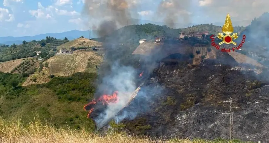 Nell’estate record per gli incendi la ricetta del WWF per la prevenzione