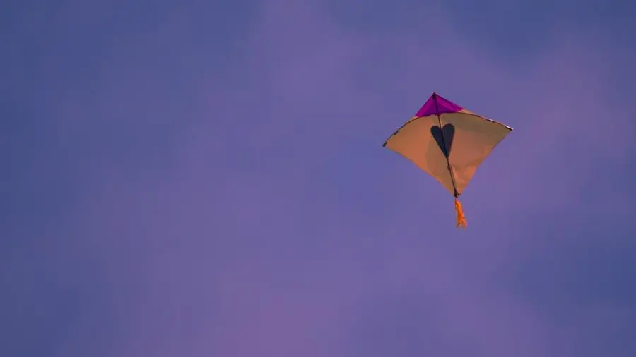 Bisogna imparare la mitezza