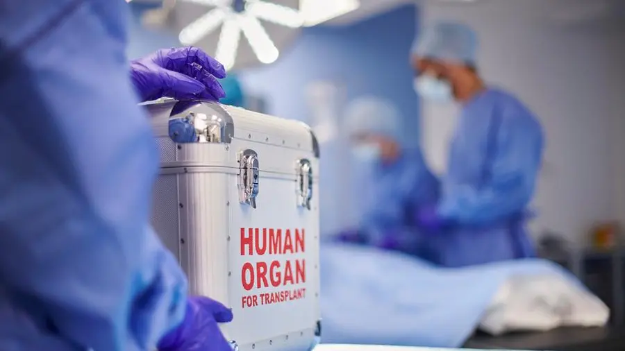 Quarantotto bambini in attesa di un cuore: la sfida dei trapianti pediatrici in Italia