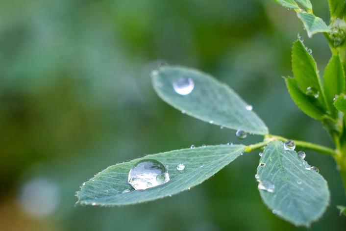 “In the beginning was the Word.” – December 31, 2025 “In the beginning was the Word.” – December 31, 2025