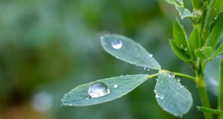 “In principio era il Verbo.” - 31 dicembre 2025