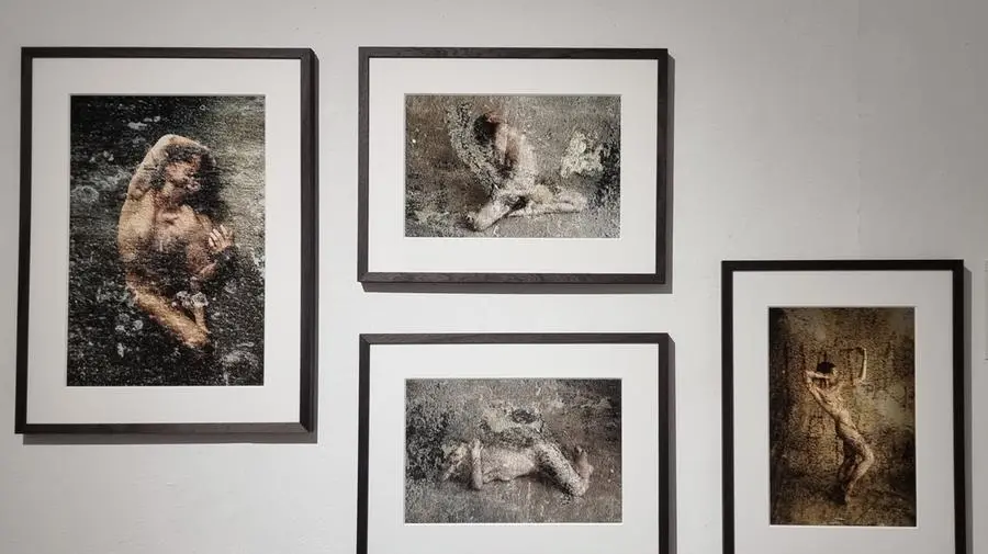 Human Nature, la collettiva fotografica che esplora identità, spazio e trasformazioni