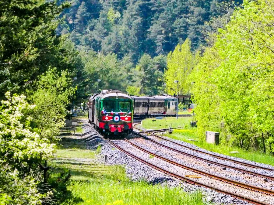 Il trenino lungo la Ferrovia delle meraviglie spunta da un magico bosco.