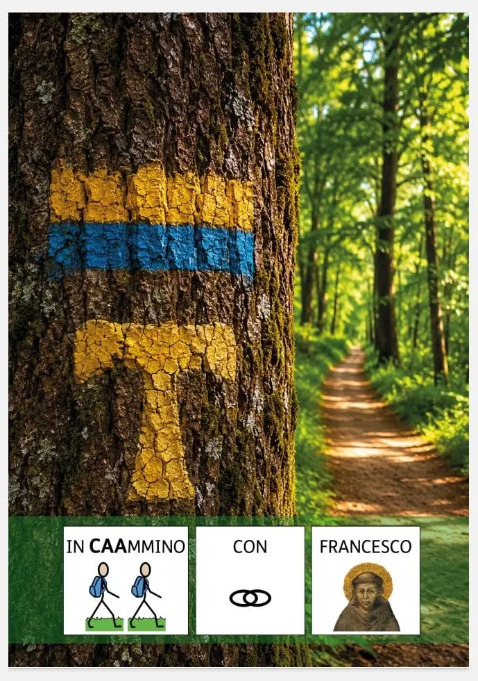La copertina della guida.