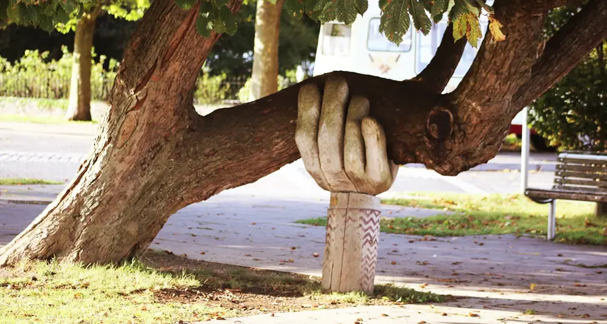 Nell'Eucaristia siamo custoditi