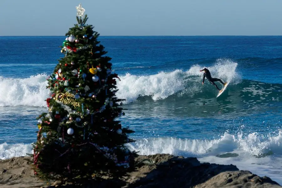 Un surfista cavalca l\\'onda Cardiff State Beach, Encinitas, proprio dietro l\\'albero di Natale, il 4 dicembre scorso in California. , REUTERS