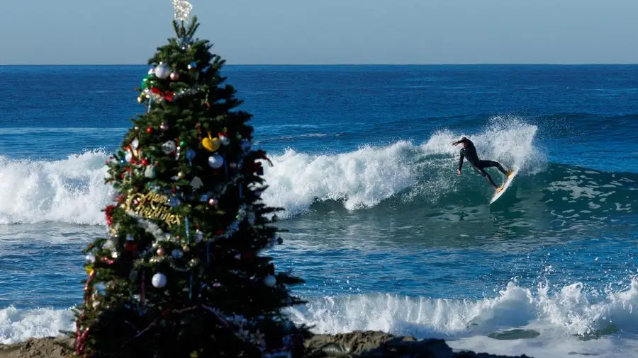 Ecologia dell’albero di Natale, meglio vero o finto?