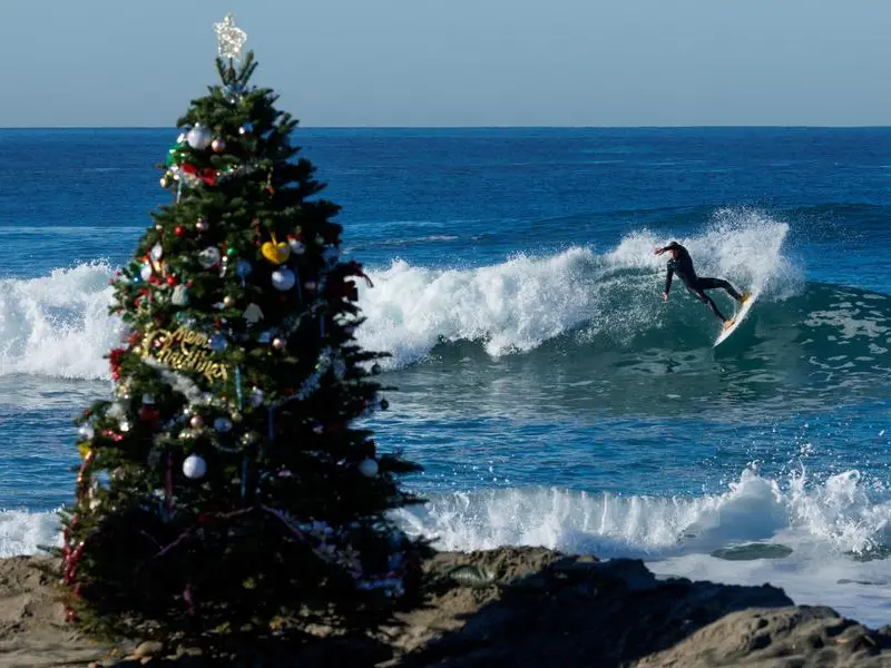 Ecologia dell’albero di Natale, meglio vero o finto?