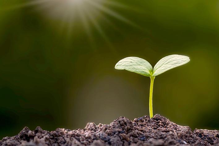 We can lend our voice to God’s grace – July 28