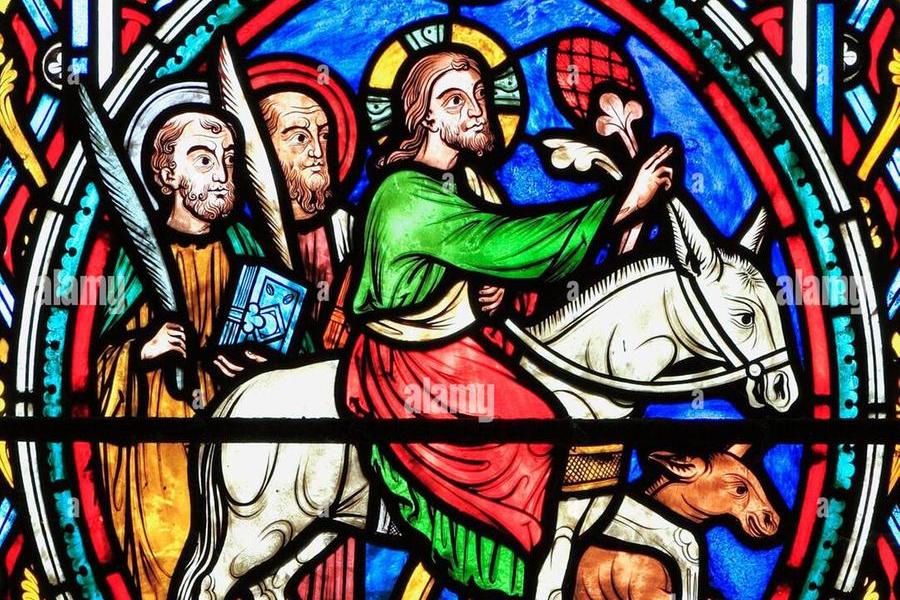 Fourteenth Sunday in Ordinary Time – (YEAR A) -5 July 2026 Fourteenth Sunday in Ordinary Time – (YEAR A) -5 July 2026