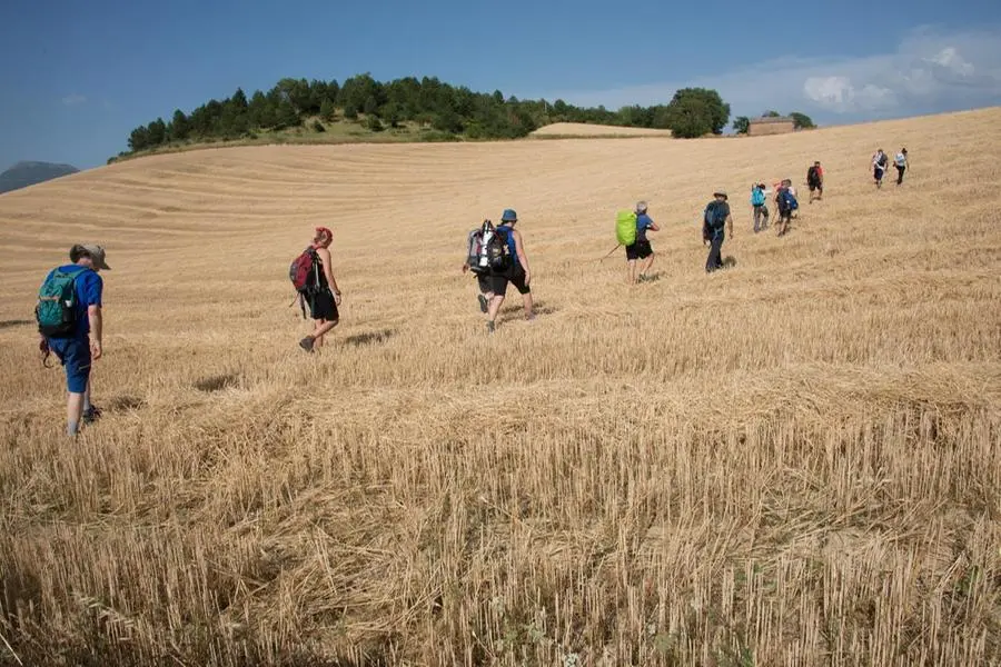 Camminatori lungo la prima tappa da Fabriano a Matelica. , Cammino nelle terre mutate Odv