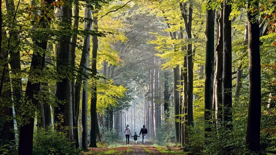 La famiglia nel bosco, una vicenda niente affatto “da favola”