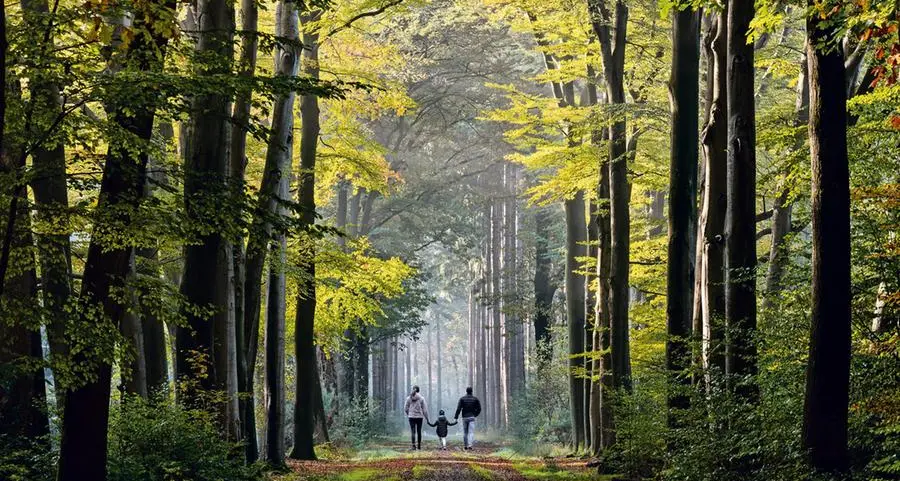 La famiglia nel bosco, una vicenda niente affatto “da favola”