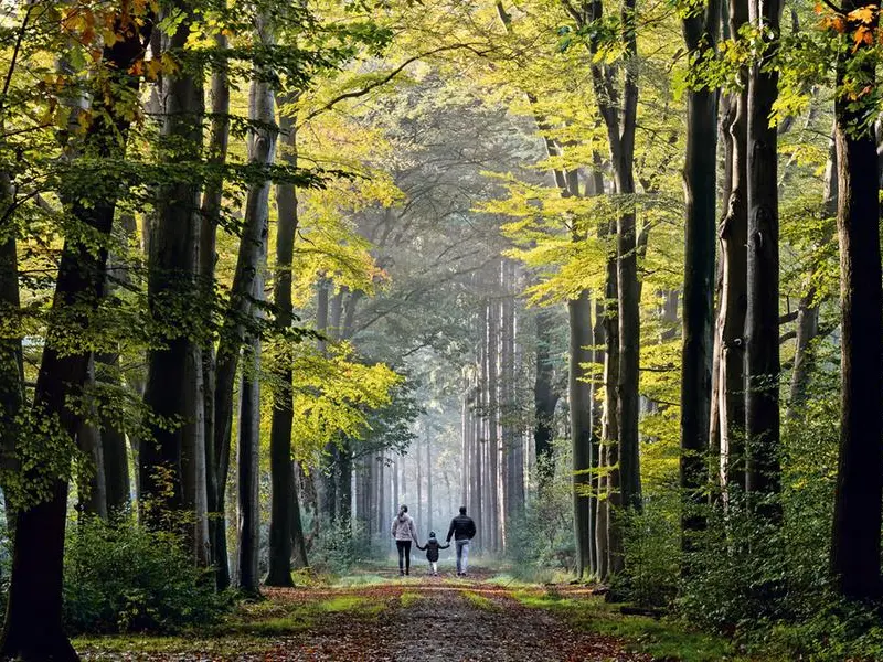 La famiglia nel bosco, una vicenda niente affatto “da favola”