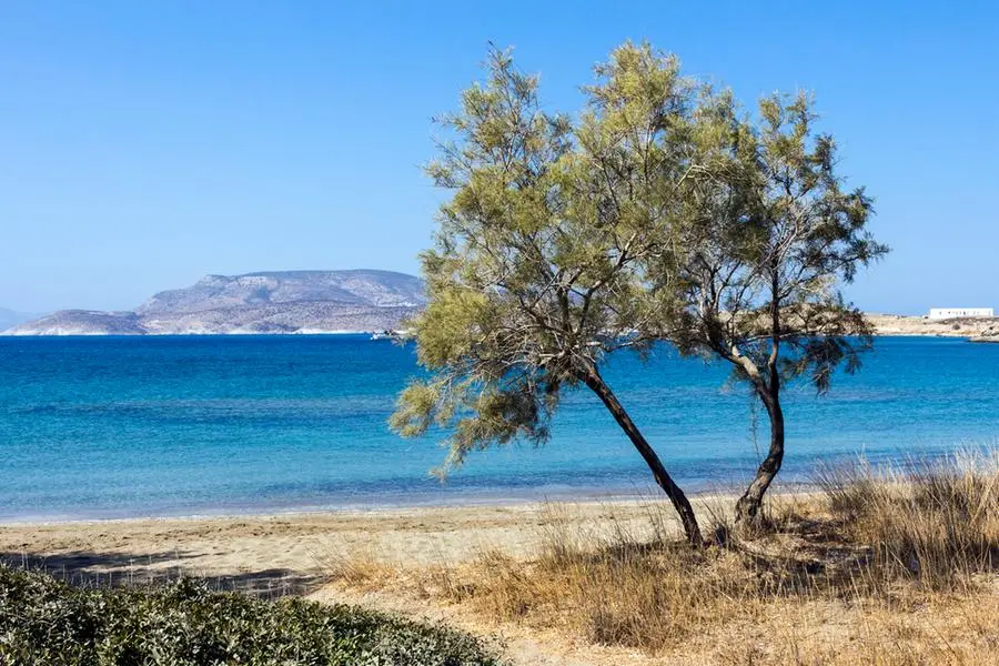 L\\'incontaminata spiaggia di Livadi a Schinoussa una delle piccole Cicladi. , Getty Images/iStockphoto