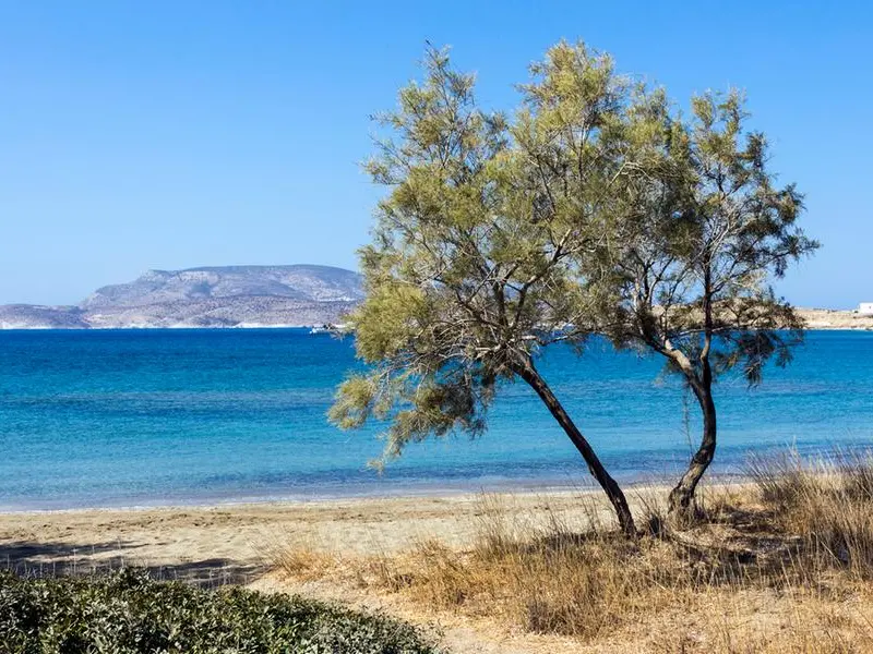 La Grecia corre ai ripari contro l'overturismo: 251 spiagge senza lettini e ombrelloni