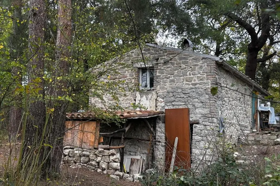 The house in the woods in Palmoli where Nathan Trevallion and Catherine Birmingham live and today the L'Aquila Juvenile Court ordered the suspension of parental rights of their three minor children, aged between 6 and 8, who live with them in a dilapidated ruin without utilities and in a caravan in the province of Chieti. The removal of the children from the family home and their placement in a family home was also ordered and a temporary guardian of the minors, the lawyer Maria Luisa Palladino, was appointed. ANSA/ANTONELLA SALVATORE