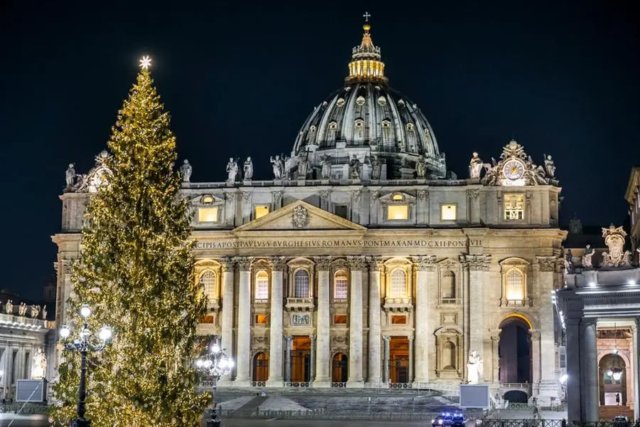 Albero a Piazza san Pietro