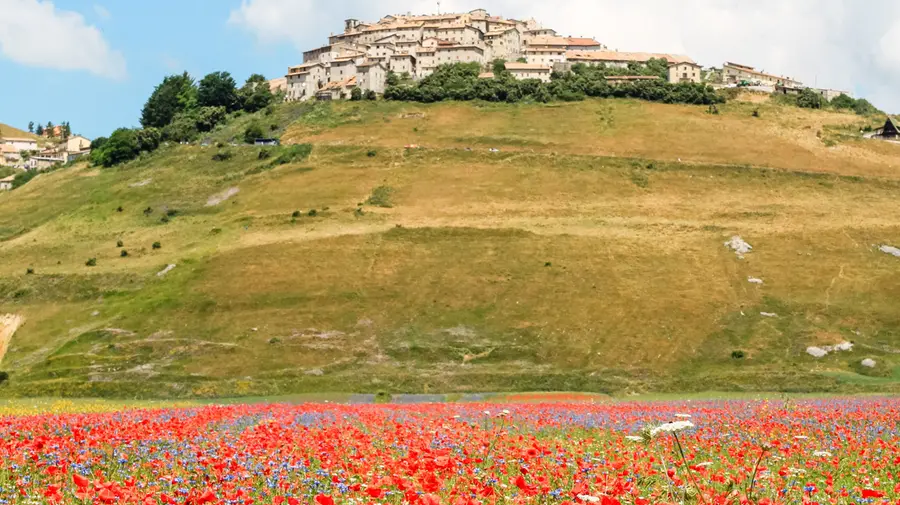 Vuoi cambiare davvero la tua vita?