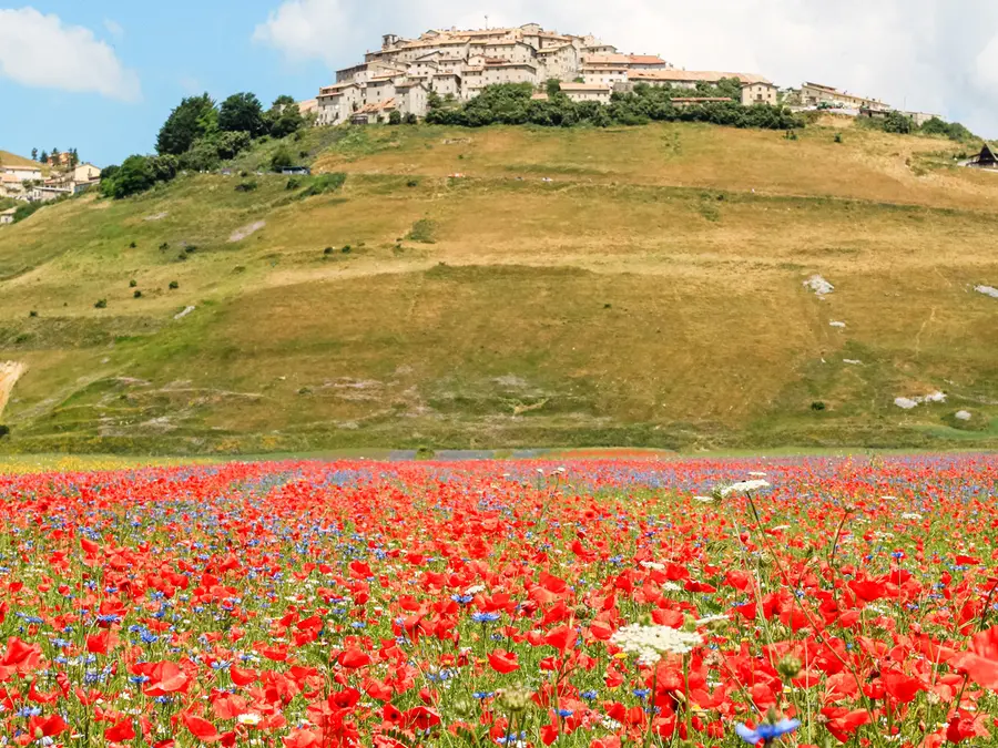 Vuoi cambiare davvero la tua vita?