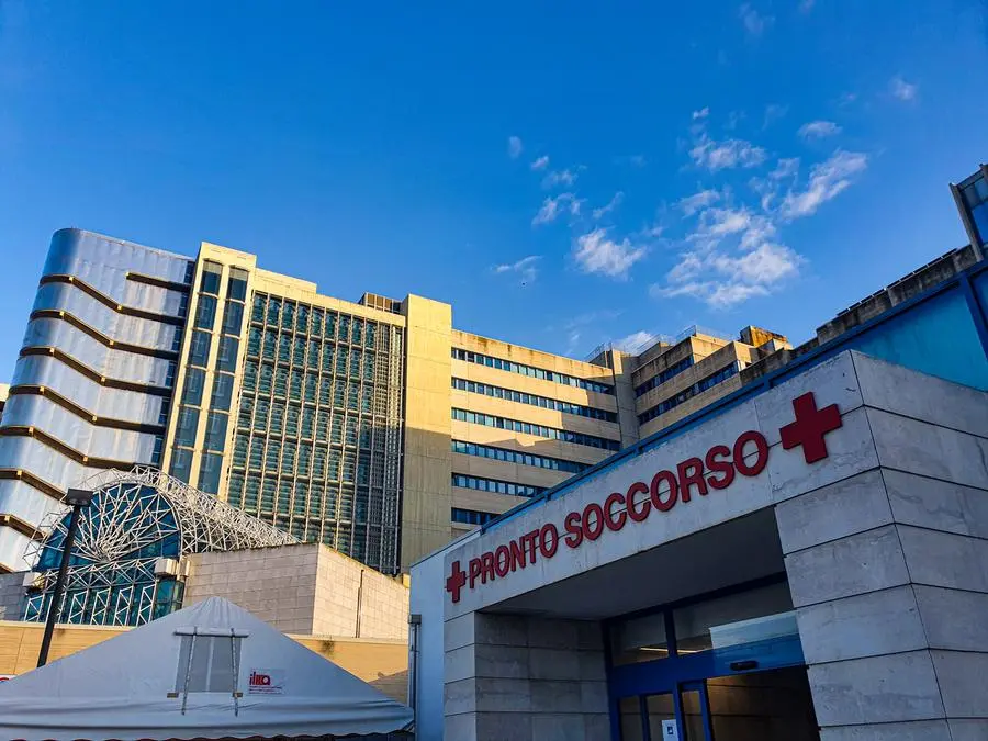 Meningite: casi a Pescara e focolaio in Inghilterra, cosa sapere senza allarmismi