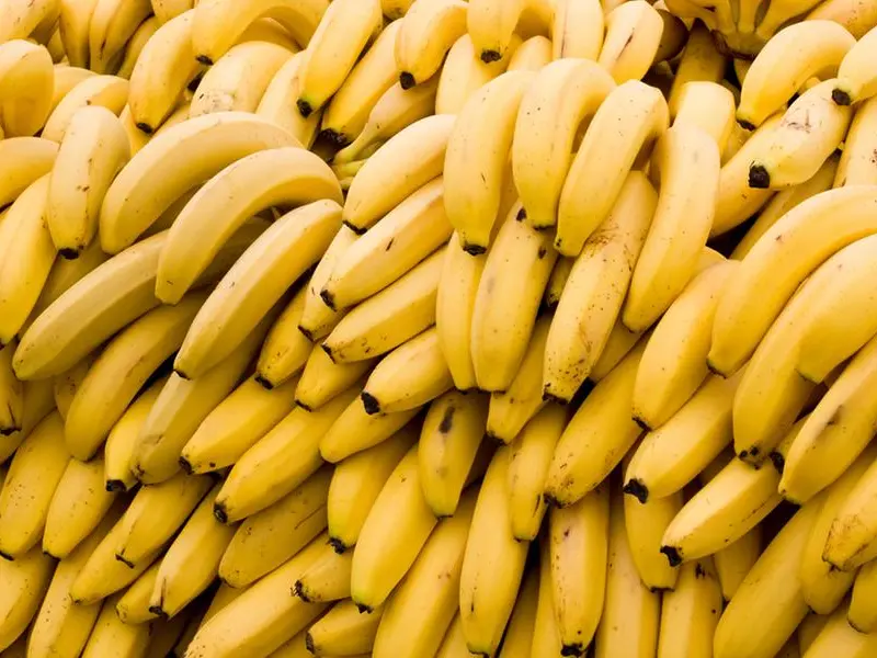 La storia della frase \"Repubblica delle banane\": chi l'ha inventata e dove è stata usata in libri e film