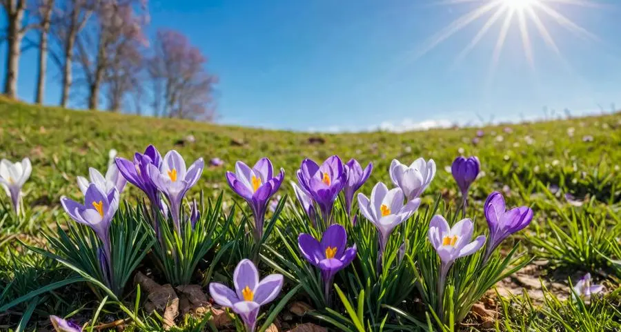 Catena Fiorello: «Ogni anno a primavera la prof del liceo ci raccontava il mito di Persefone»