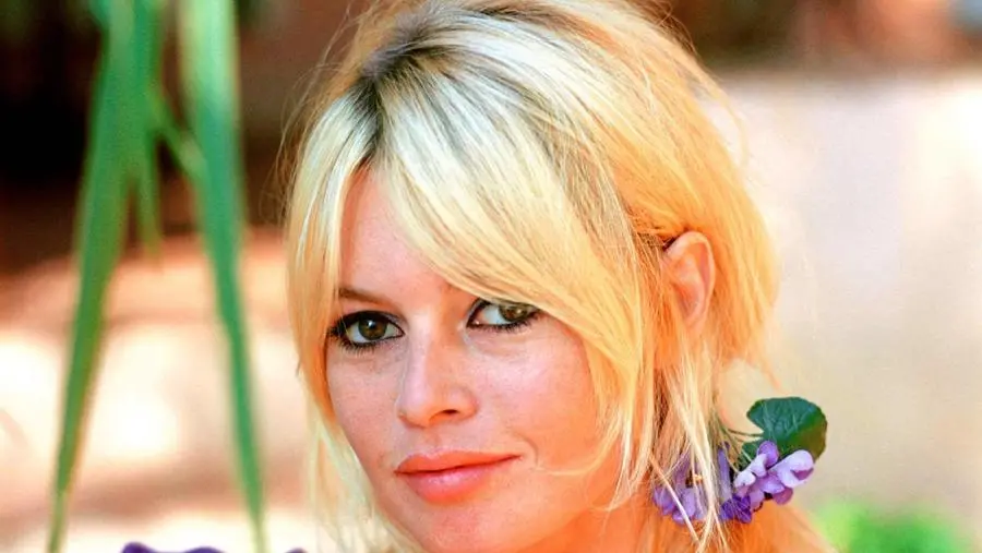 Brigitte Bardot, la libertà, la bellezza, gli animali: il ritratto di un’icona inquieta