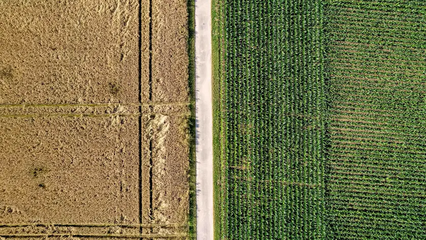 Nessuno può farsi giudice dimenticando la propria fragilità