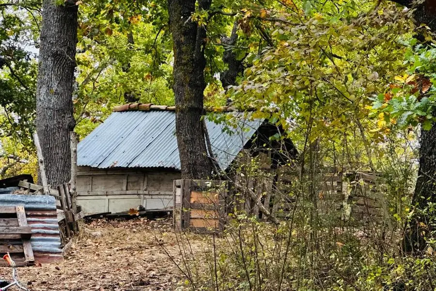 La casa nel bosco a Palmoli (Chieti) La casa nel bosco a Palmoli diventata \\\"casetta\\\" in tante cronache