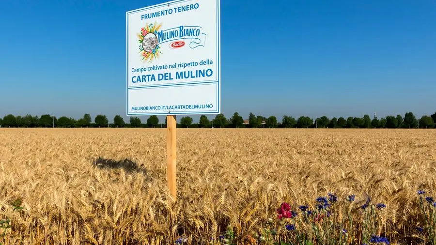 Dall’agricoltura rigenerativa al risparmio energetico: l’impegno di Barilla per la sostenibilità