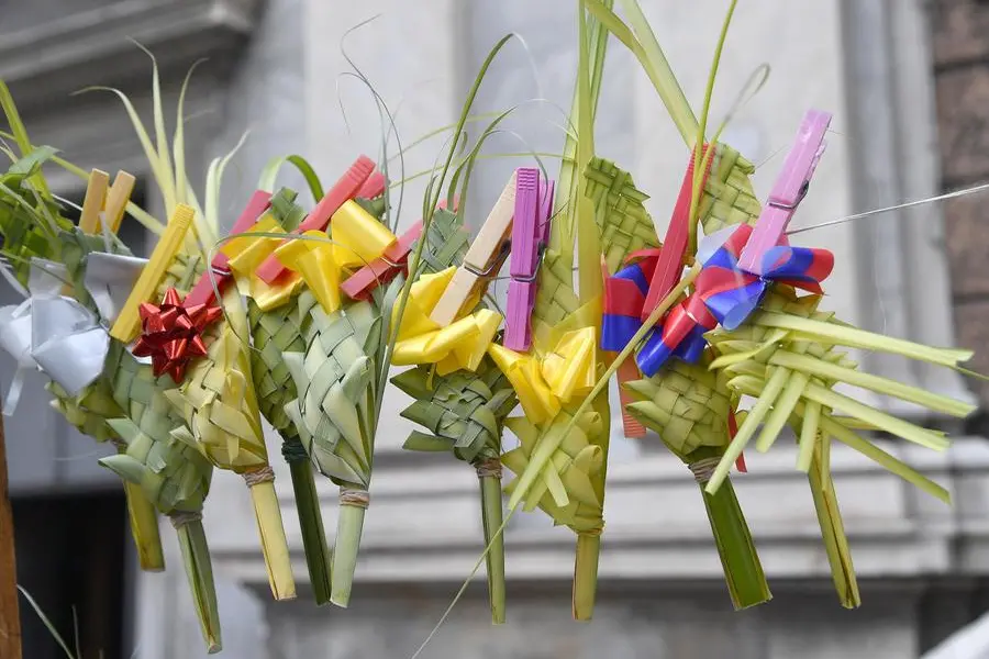 Palme intrecciate in vendita per la Domenica delle Palme. Genova
