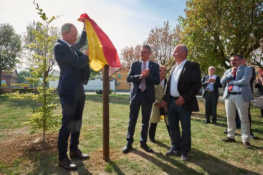 Il faggio piantato a Boves dall\\'ambasciatore Bagger nell\\'ambito del progetto \\u00AB75 alberi in 75 luoghi\\u00BB, per ricordare i 75 anni dalla ripresa delle relazioni diplomatiche tra Italia e Germania