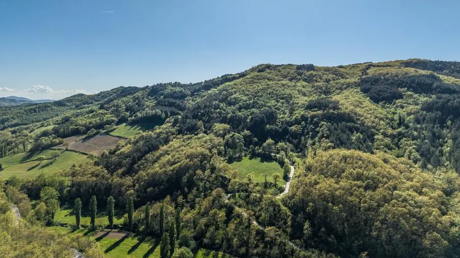 Sulla via di Francesco, nella valle dell’accoglienza